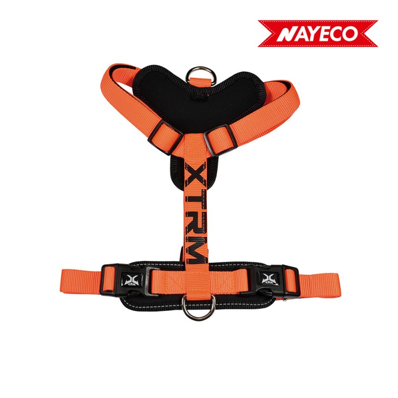 Arnès x-trm cronos neó flash 35-60x1.5cm taronja nayeco