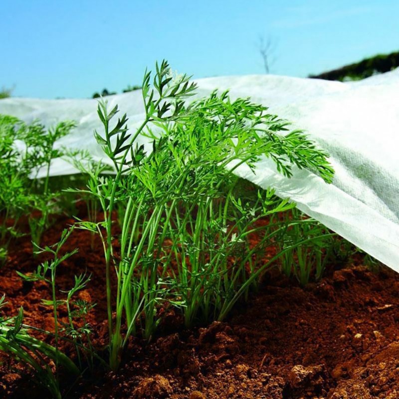 Tela de protecció per a cultius-bobina 2x20m 17gr/m² biotop garden