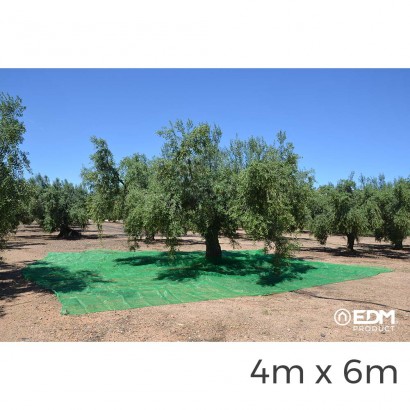 Mantell per a recol-lecta de fruits 4x6m color verd