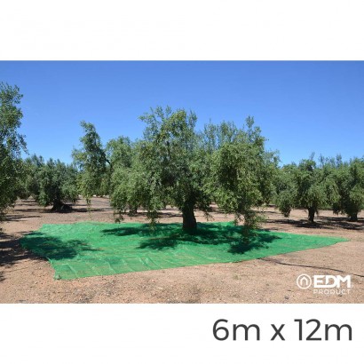 Mantell per a recol-lecta de fruits 6x12m color verd