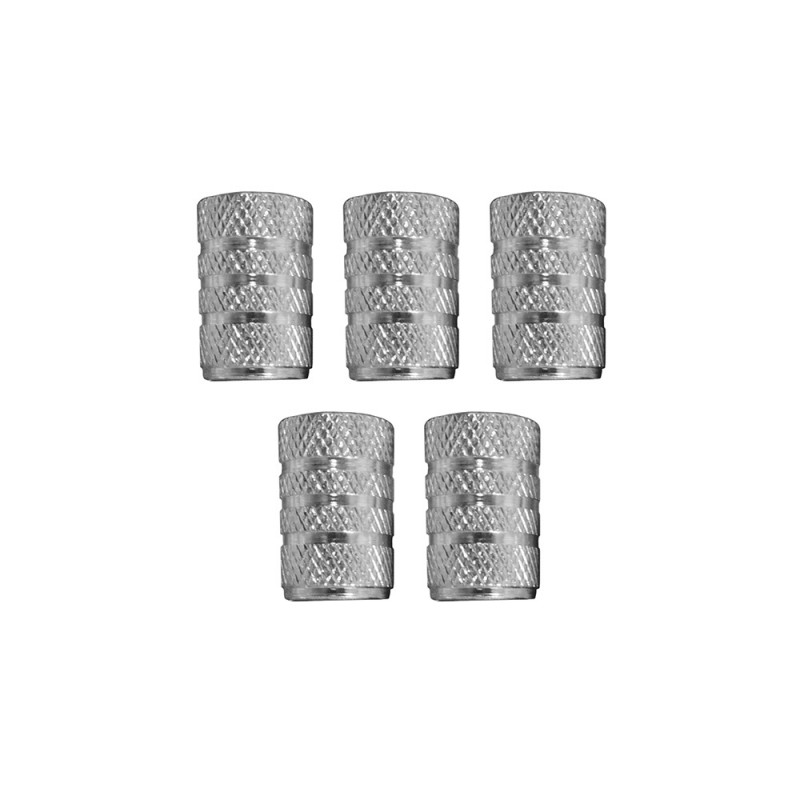 Set de 5 tapones para rueda coche plata dunlop