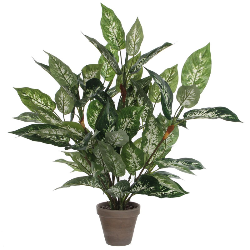 Dieffenbachia pvc amb test gris 