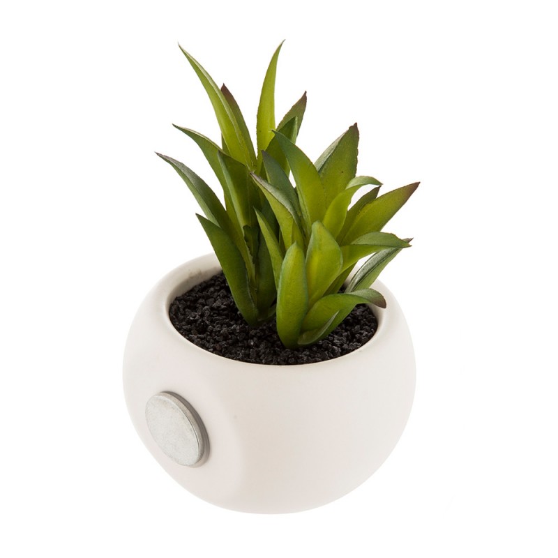 Mini plantes decoratives amb imàn models assortits 6cm 