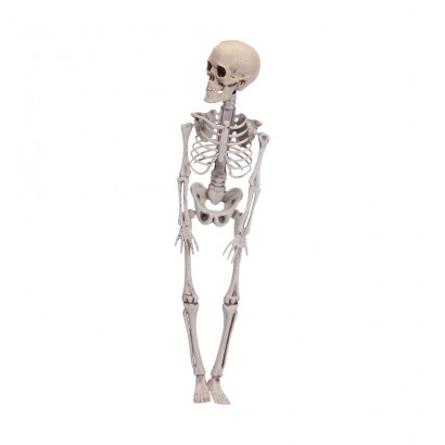 Figura esquelet halloween 42cm 