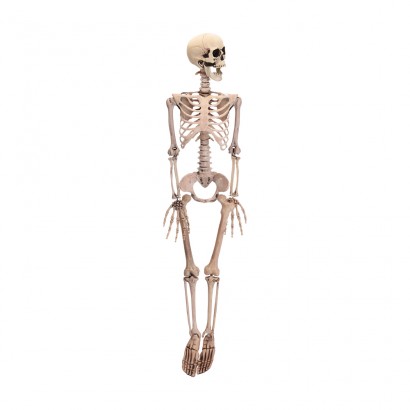 Figura esquelet halloween 90cm 
