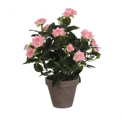 Rosal rosa pvc amb test gris 11.5cm 33x25cm