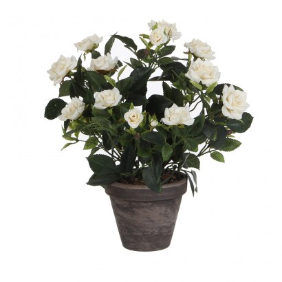Roser blanc pvc amb test gris 