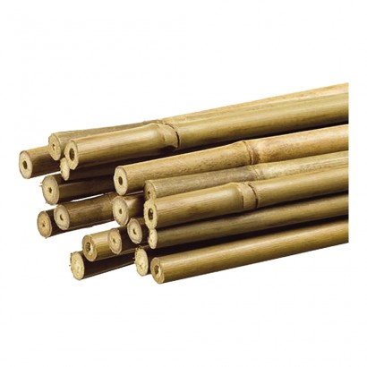 Tutor de bamboo para plantas 1,1x180cm