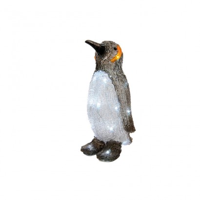 Figura pingüí exterior